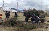 изображение_viber_2025-04-10_14-37-58-128