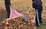 изображение_viber_2026-10-20_17-05-10-395