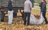 изображение_viber_2026-10-20_17-05-10-430